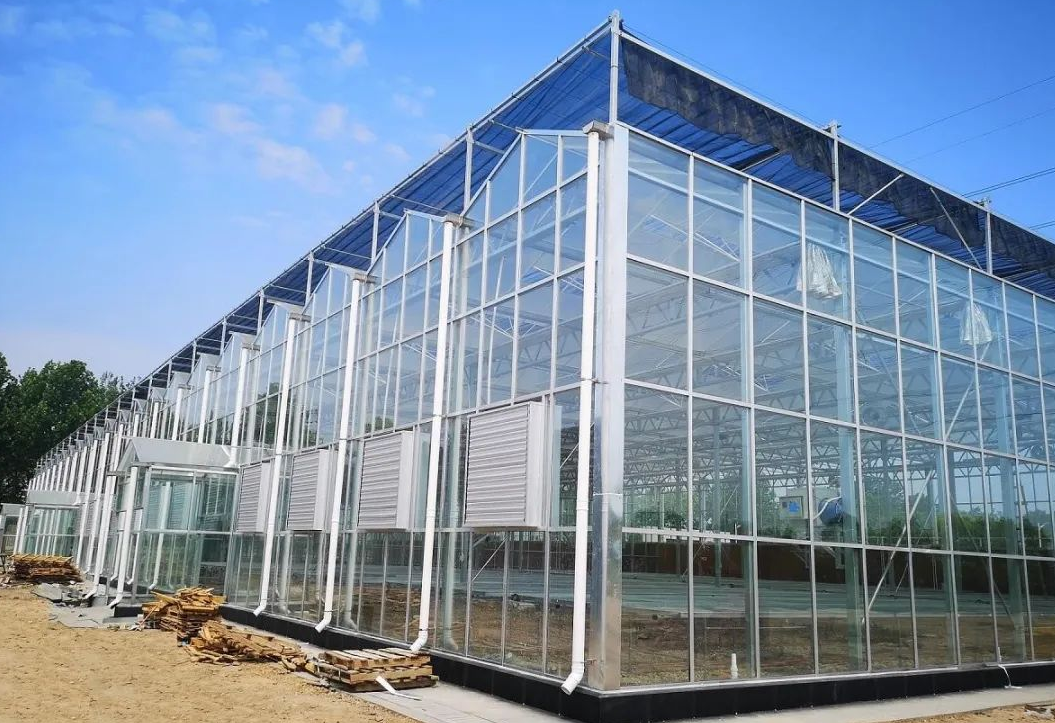 图 1